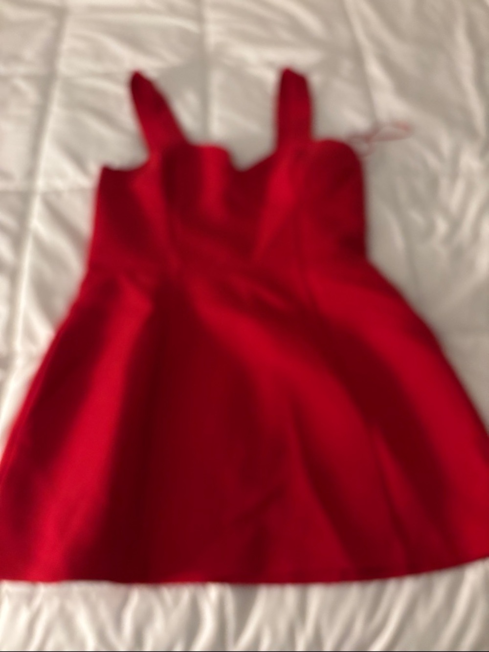Zara Red Sleeveless Fit-and-Flare Dress